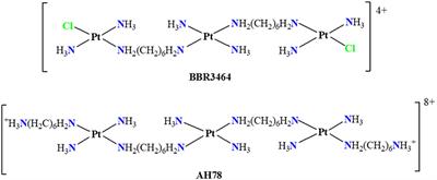 TriplatinNC and Biomolecules: Building Models Based on Non-covalent Interactions